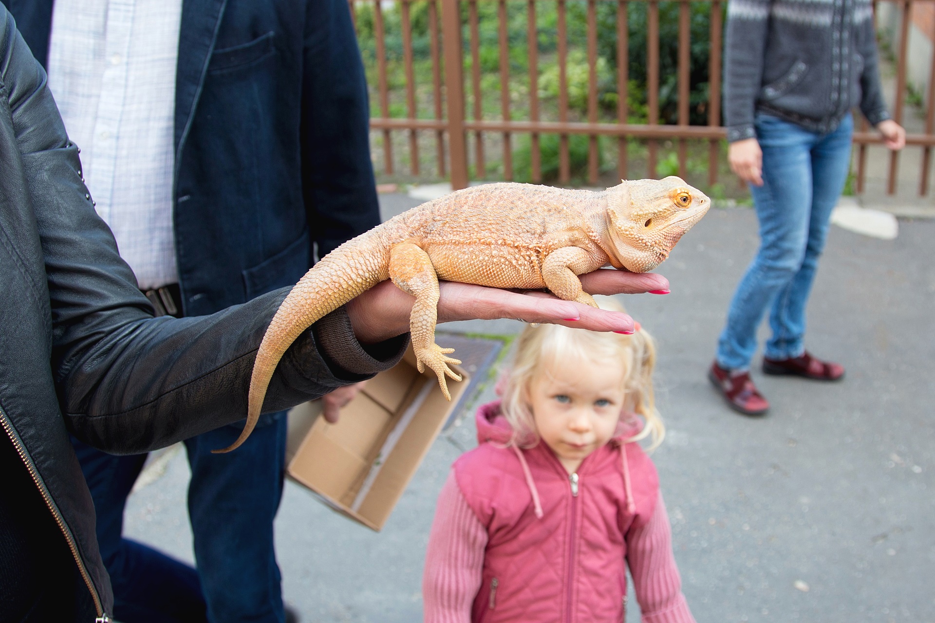 57038397 821317921557096 2151789365599141888 o