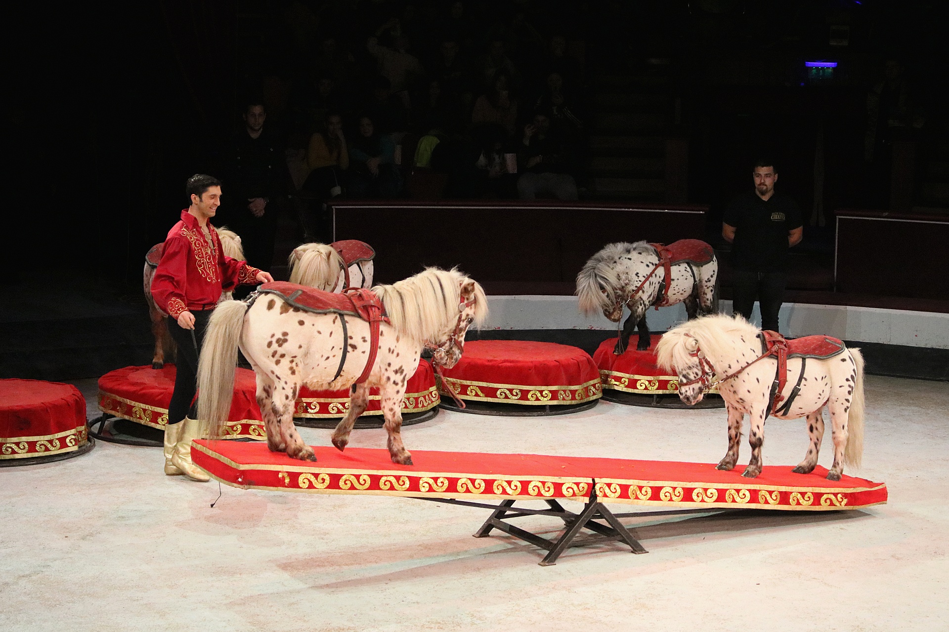 57038397 821317921557096 2151789365599141888 o