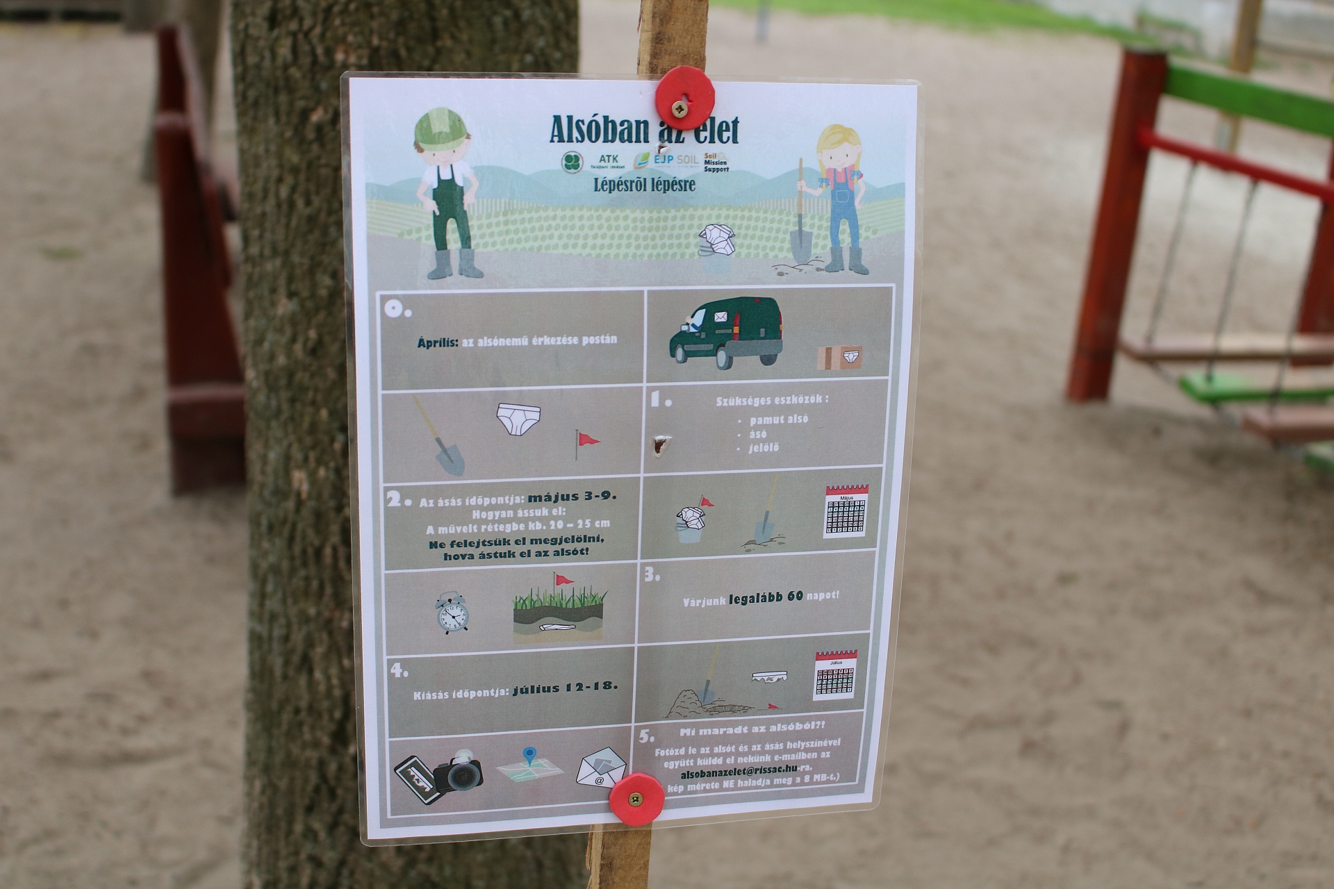 57038397 821317921557096 2151789365599141888 o