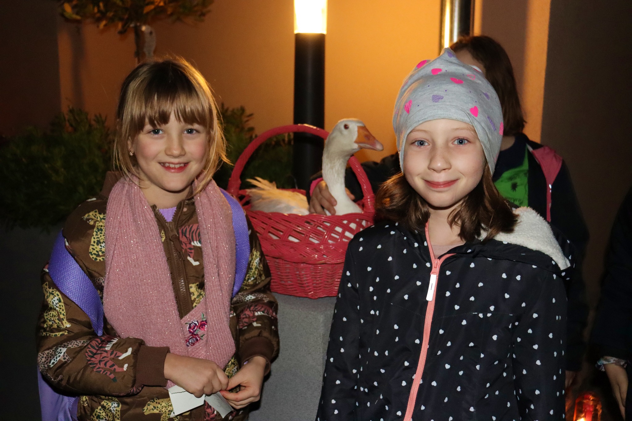 57038397 821317921557096 2151789365599141888 o