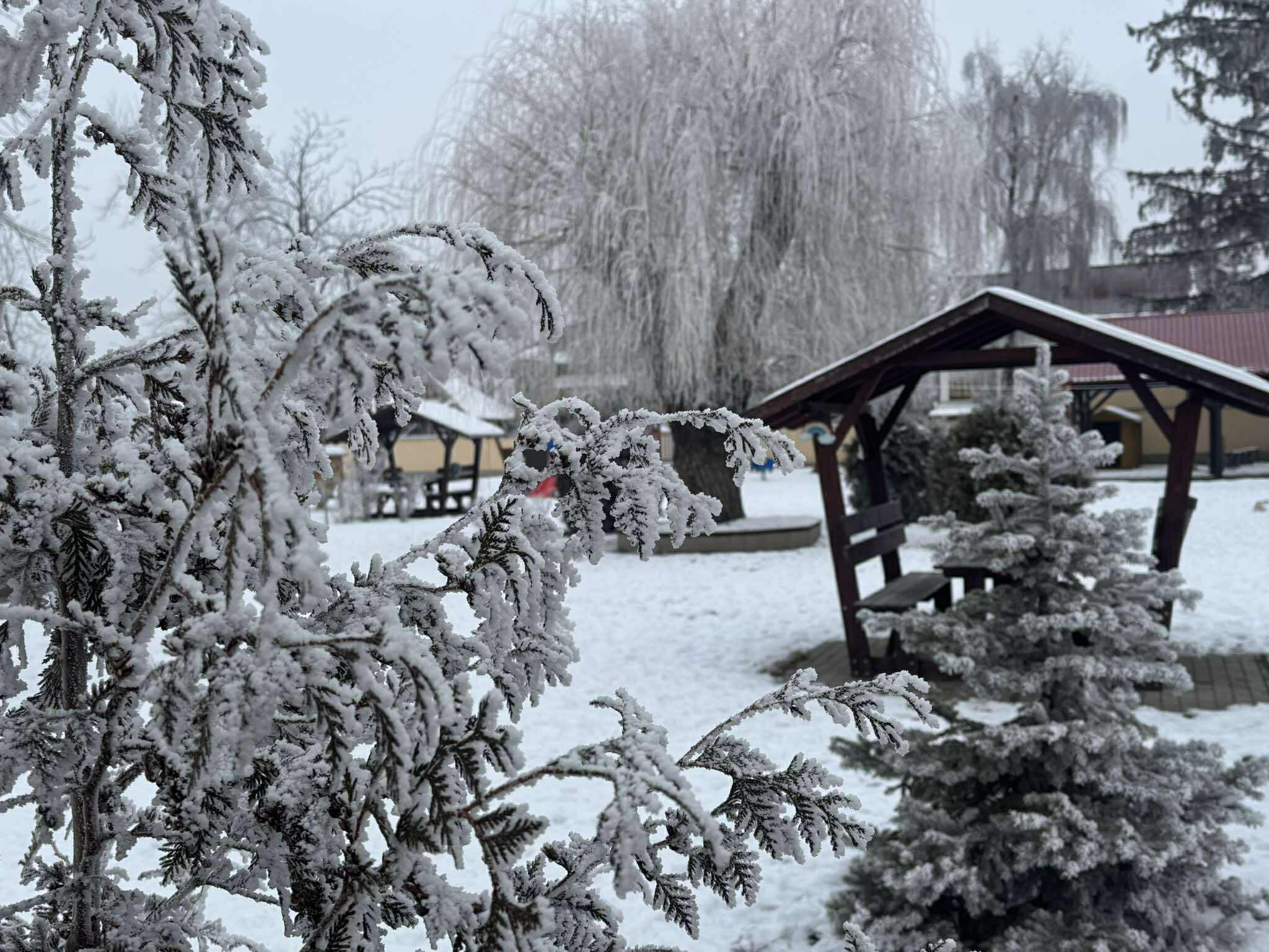 57038397 821317921557096 2151789365599141888 o